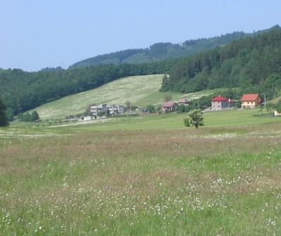 obr. 1 - lokalita Buňavka 3 - před realizací (2003)